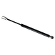struts for tanning bed