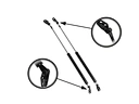 lift support struts
