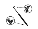  bonnet gas struts