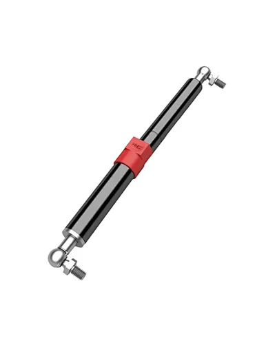 window gas struts