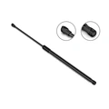 replaceing gas struts