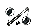 trunk struts