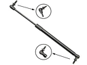 trunk struts
