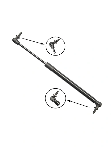 trunk struts