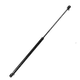 gas shocks for truck tool box