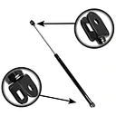 canopy gas struts