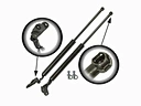 liftgate struts