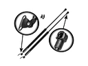 tailgate gas strut