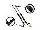 auto boot struts
