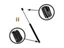bonnet shocks