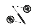 lift support struts