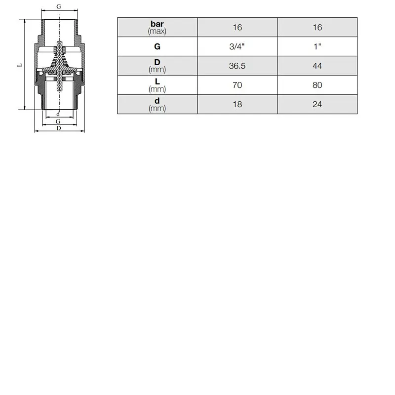 Spring Check Valve Plastic Disc MxM