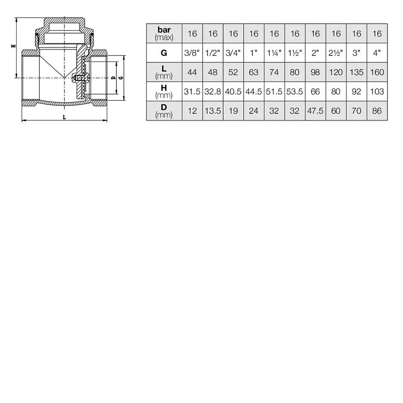 Swing Check Valve