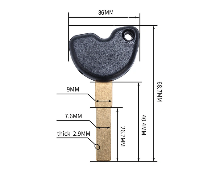Motorcycle Embryo Uncut Key