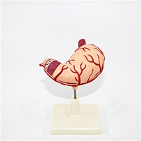 medical model