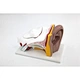 Hot sale biological 3 times enlarged anatomy human ear model 5 parts educational teaching model