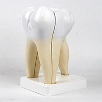 medical model