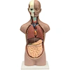 medical model