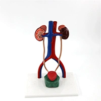 medical model