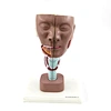 Human Head