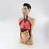 medical model