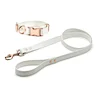 big dog collars