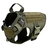 hunting dog collars