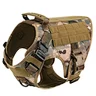 hunting dog collars