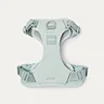pet collars