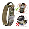 pinch collar for dogs