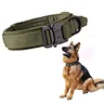 pinch collar for dogs