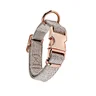 luxury dog collars