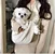 Small Dog Carrier Purse, Portable Pet Carrier Tote Cat Carrier, Adjustable Safety Leash, Poop Dispenser, TPU Bottom