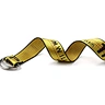 women ferragamo belt