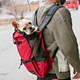 dog pouch carrier