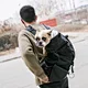 soft sided pet carrier