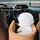 amazon pet carrier