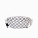 belt bag crossbody