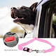 dog boundary collar