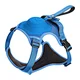 cute dog harness