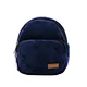 pet travel carrier