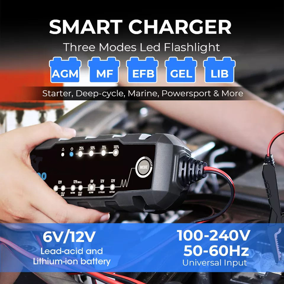 Lithium starter box 6V 12V wet battery