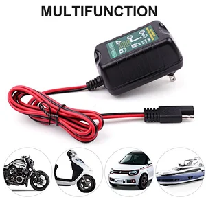 Mainteneur de chargeur d'entretien de véhicule 12V