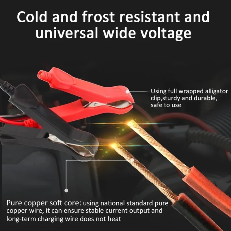 12v battery maintenance charger