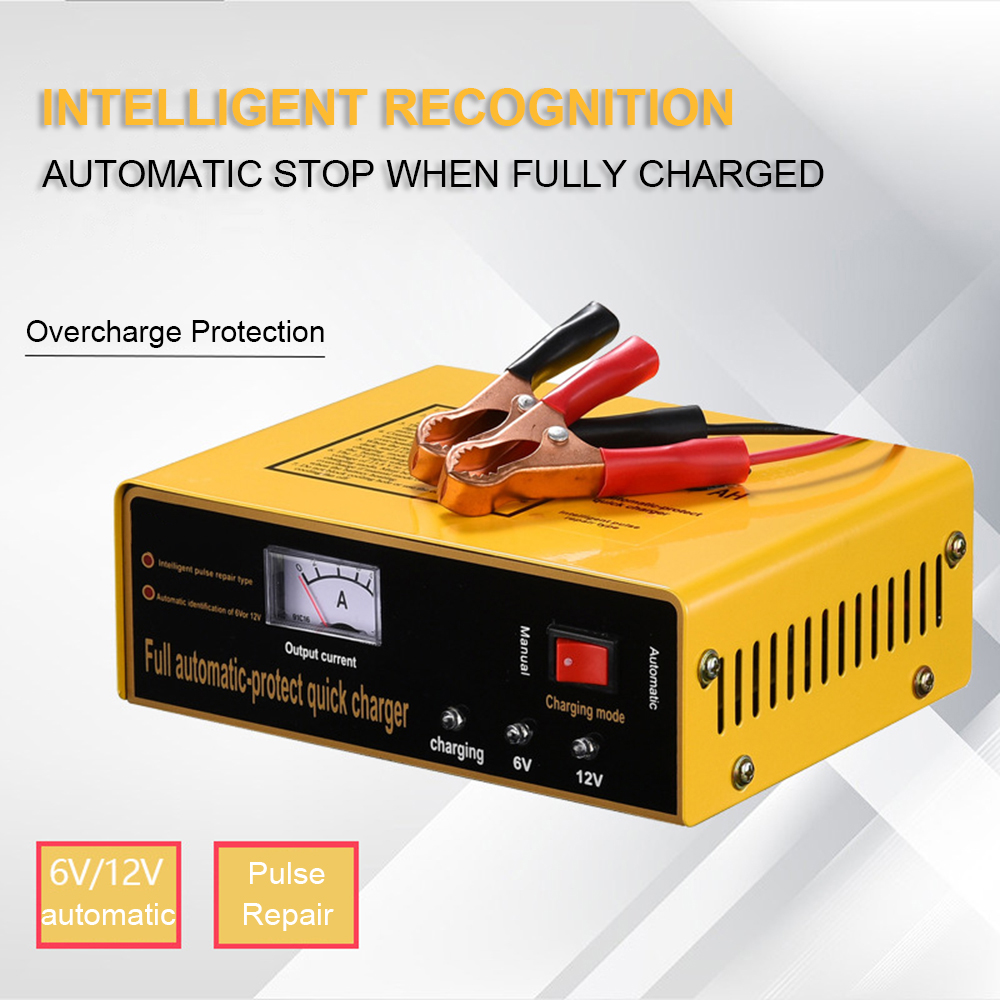 auto trickle charger