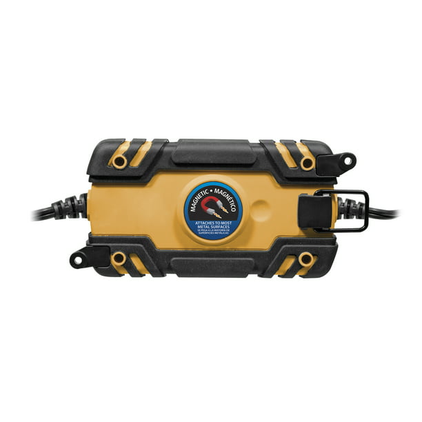RV 12 Volt Battery Desulfator Charger
