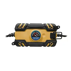 RV 12 Volt Battery Desulfator Charger