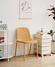 Plastic chair