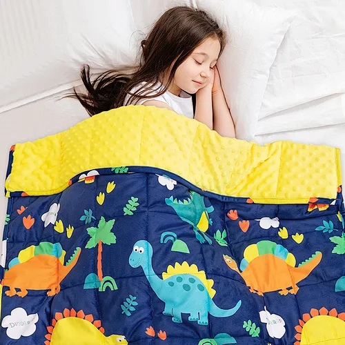Insugar Dinosaur Fleece Minky Toddler Heavy Blanket for Kids