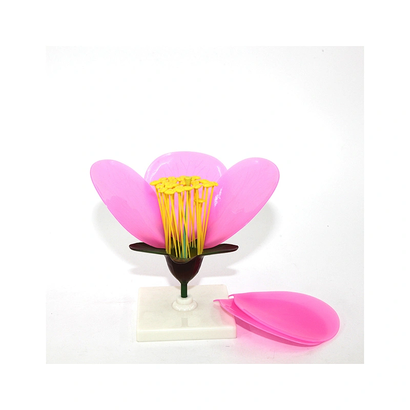 Peach Blossom Model Flower model